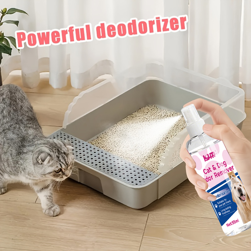 KJM-55ML Leistungsstarker Mehr – Odor Eliminator Car Bewertung und Preis